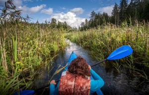 Kayak LISAO Kayak LISAO