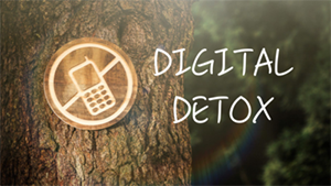 Sevrage numérique Sevrage numérique